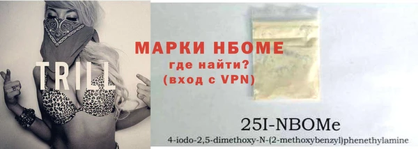 индика Алексин