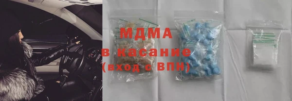 индика Алексин