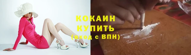 СК Алзамай