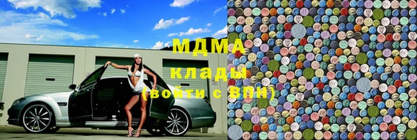 индика Алексин