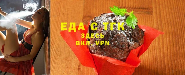 индика Алексин