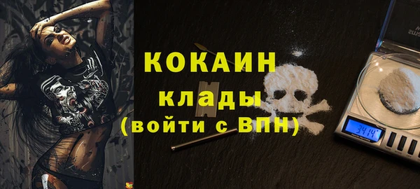 индика Куйбышев