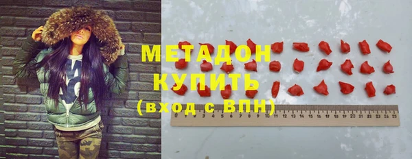 индика Алексин