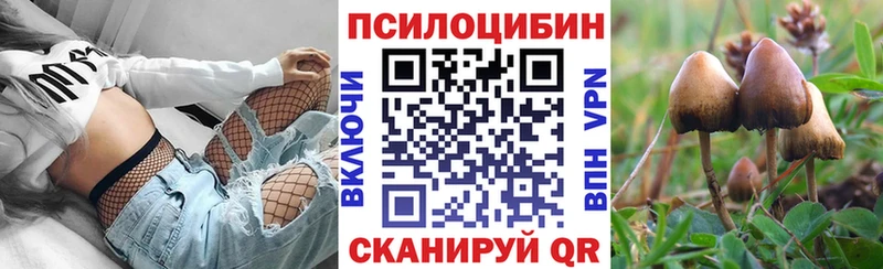 Псилоцибиновые грибы мухоморы  где продают наркотики  Цоци-Юрт 