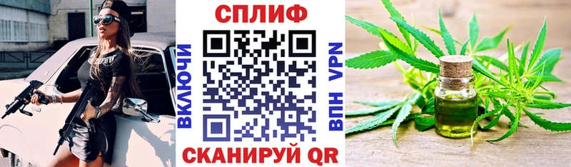 Канабис MAZAR  где можно купить   Цоци-Юрт 